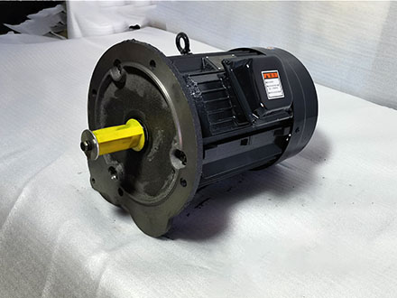 132S型號5.5KW電機(jī)