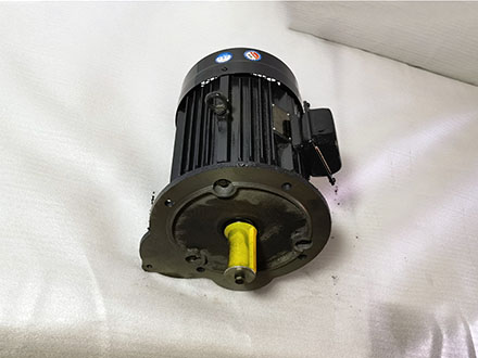 132S型號5.5KW電機(jī)