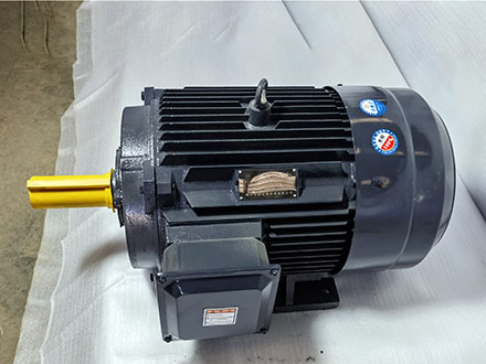 200L型號30KW電機(jī)